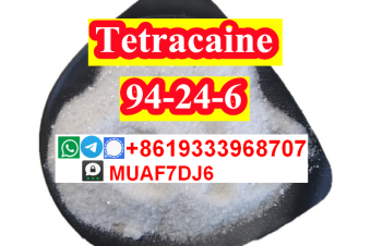 CAS94246 Tetracaine powder with  best price good quality 